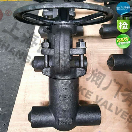 Z61Y、Z41Y鍛鋼自密封閘閥